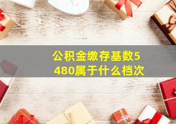 公积金缴存基数5480属于什么档次