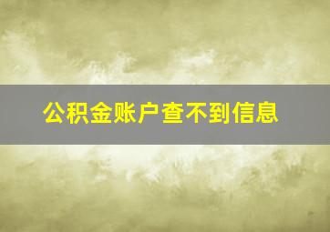 公积金账户查不到信息