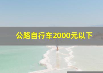 公路自行车2000元以下