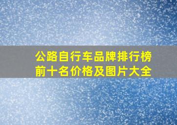 公路自行车品牌排行榜前十名价格及图片大全