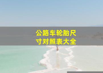 公路车轮胎尺寸对照表大全