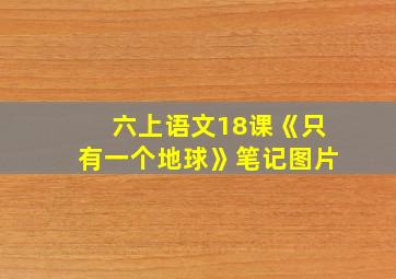 六上语文18课《只有一个地球》笔记图片