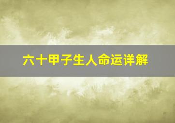 六十甲子生人命运详解