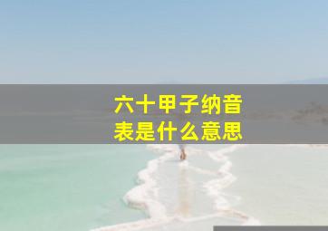 六十甲子纳音表是什么意思