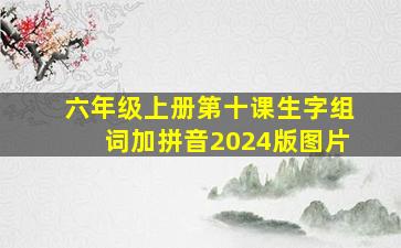 六年级上册第十课生字组词加拼音2024版图片