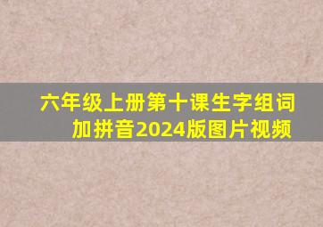 六年级上册第十课生字组词加拼音2024版图片视频