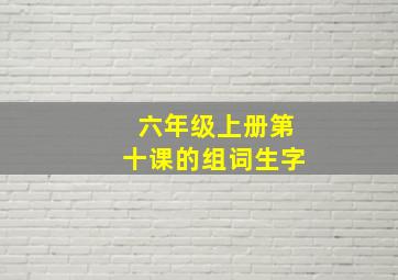 六年级上册第十课的组词生字