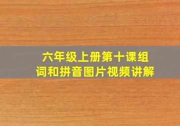 六年级上册第十课组词和拼音图片视频讲解