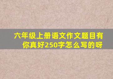 六年级上册语文作文题目有你真好250字怎么写的呀