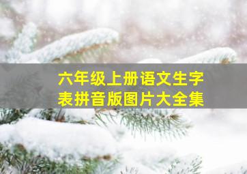 六年级上册语文生字表拼音版图片大全集