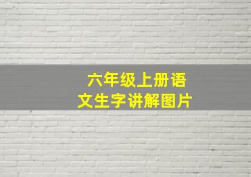 六年级上册语文生字讲解图片