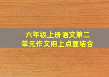 六年级上册语文第二单元作文用上点面结合