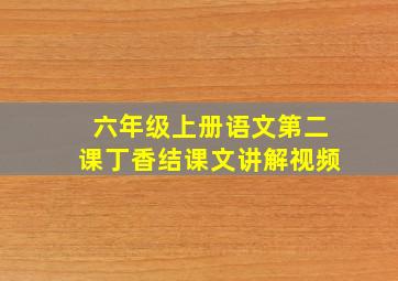 六年级上册语文第二课丁香结课文讲解视频