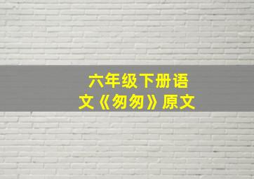 六年级下册语文《匆匆》原文