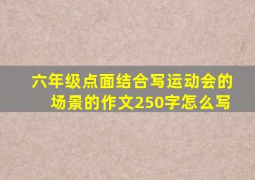 六年级点面结合写运动会的场景的作文250字怎么写