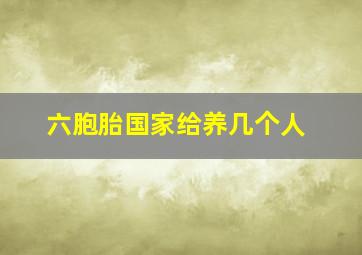 六胞胎国家给养几个人