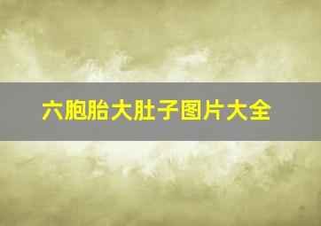 六胞胎大肚子图片大全