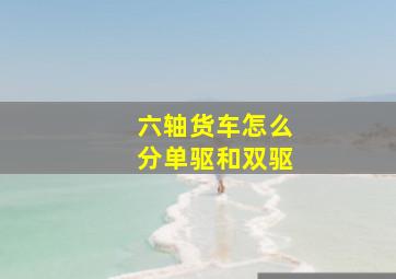 六轴货车怎么分单驱和双驱