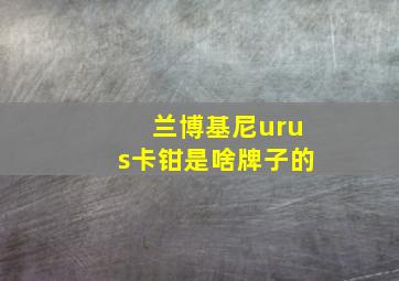 兰博基尼urus卡钳是啥牌子的