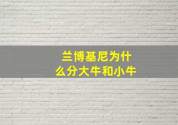 兰博基尼为什么分大牛和小牛