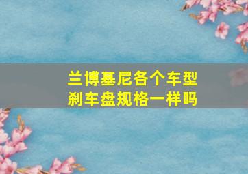 兰博基尼各个车型刹车盘规格一样吗