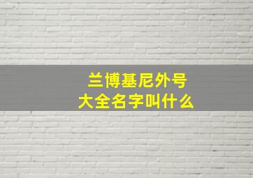 兰博基尼外号大全名字叫什么