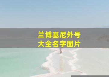 兰博基尼外号大全名字图片