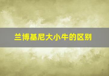 兰博基尼大小牛的区别