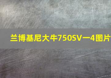 兰博基尼大牛750SV一4图片