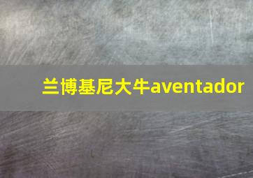 兰博基尼大牛aventador