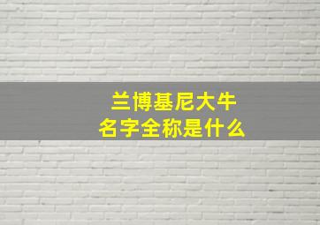 兰博基尼大牛名字全称是什么