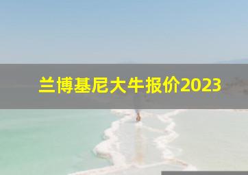 兰博基尼大牛报价2023