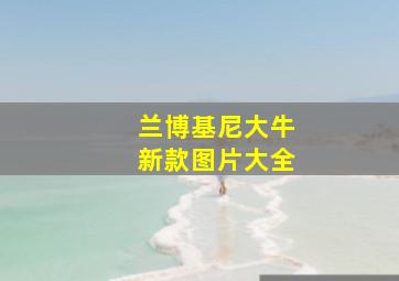 兰博基尼大牛新款图片大全