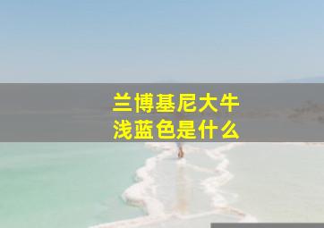 兰博基尼大牛浅蓝色是什么