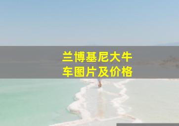 兰博基尼大牛车图片及价格