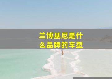 兰博基尼是什么品牌的车型