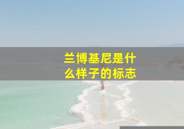 兰博基尼是什么样子的标志