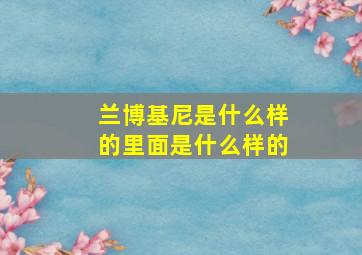 兰博基尼是什么样的里面是什么样的