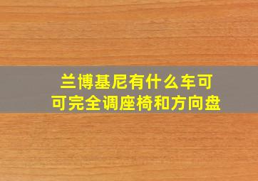 兰博基尼有什么车可可完全调座椅和方向盘