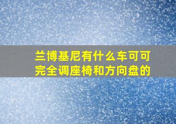 兰博基尼有什么车可可完全调座椅和方向盘的