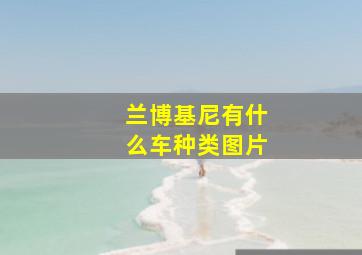 兰博基尼有什么车种类图片