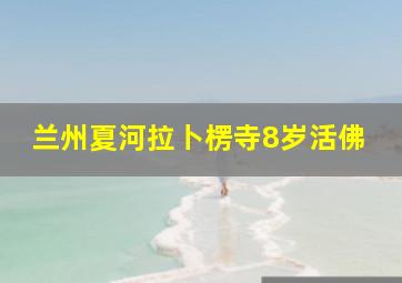 兰州夏河拉卜楞寺8岁活佛