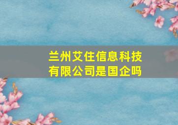 兰州艾住信息科技有限公司是国企吗