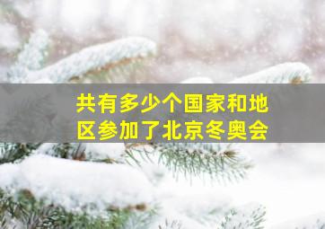 共有多少个国家和地区参加了北京冬奥会