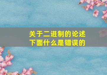 关于二进制的论述下面什么是错误的