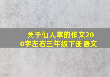 关于仙人掌的作文200字左右三年级下册语文