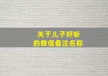 关于儿子好听的微信备注名称