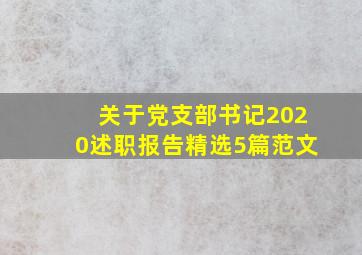 关于党支部书记2020述职报告精选5篇范文