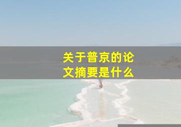 关于普京的论文摘要是什么