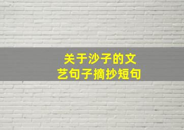 关于沙子的文艺句子摘抄短句